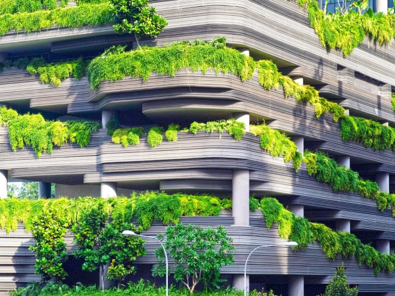 رنگ سبز در معماری | شرکت پخش رنگ تهران