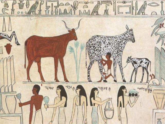 تاریخچه رنگ ساختمانی در مصر باستان | رنگ تهران